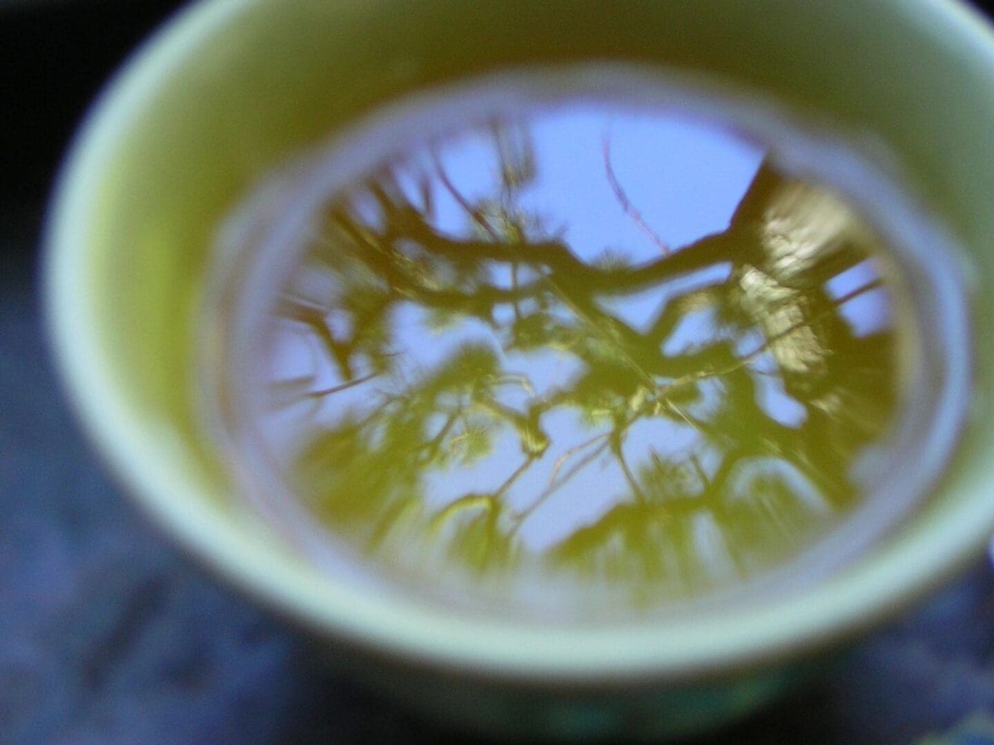 Close-up of tea with tree reflection.